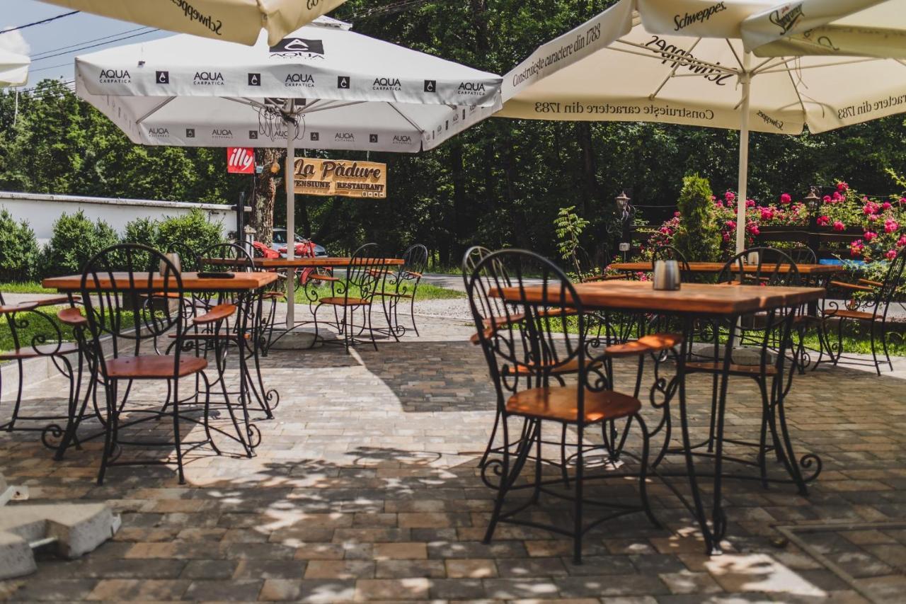 La Padure Pensiune-Restaurant Novaci-Străini Esterno foto