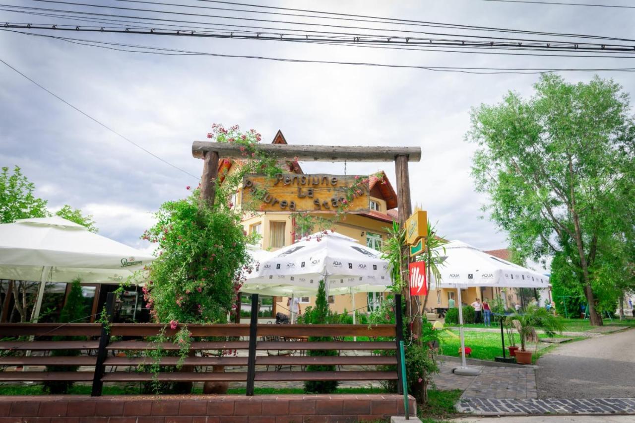 La Padure Pensiune-Restaurant Novaci-Străini Esterno foto